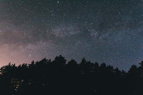 milky way closeup photo of trees during night time outdoors